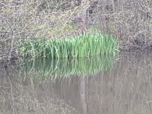 PXL_20210513_154407803