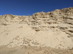 PXL_20210327_142312466