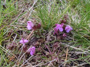 PXL_20210513_154058715