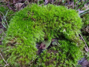 PXL_20210216_085813827