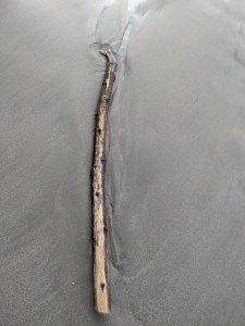 PXL_20201219_124628089