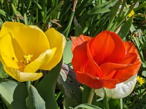 PXL_20210413_120938912