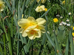 PXL_20210413_120805541