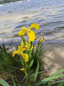 PXL_20210524_110241447