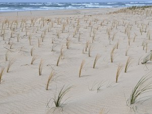 PXL_20210216_081537568