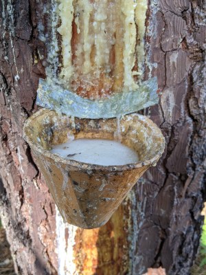 PXL_20210904_154005639