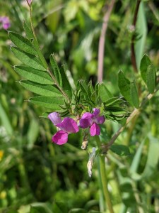 PXL_20210418_135931858