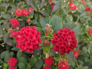 PXL_20201126_102003102