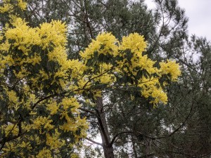 PXL_20210216_091301197