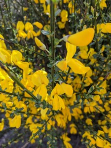 PXL_20210403_092317811