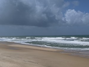 PXL_20210524_100311247