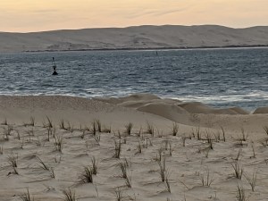 PXL_20210216_081517102