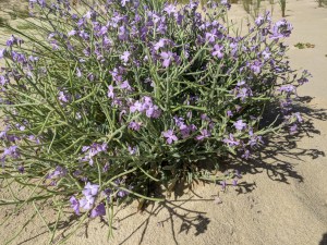 PXL_20210605_080649517