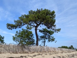 PXL_20211111_111755192