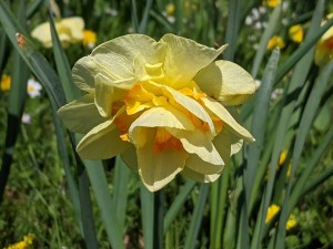 PXL_20210413_120812768