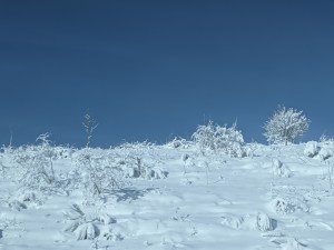 PXL_20210101_102232028