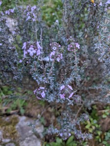 PXL_20210329_182119341