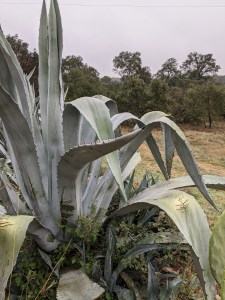 PXL_20201221_100254794