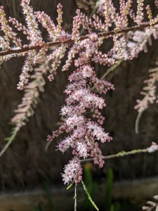 PXL_20210405_094914857