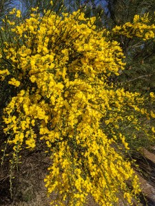 PXL_20210403_092455873