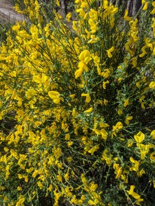 PXL_20210403_090356442