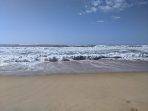 PXL_20210327_142334980