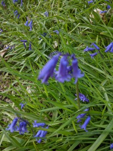 PXL_20210415_150928962