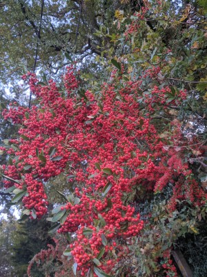 PXL_20211106_164809084