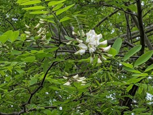 PXL_20210425_164450441