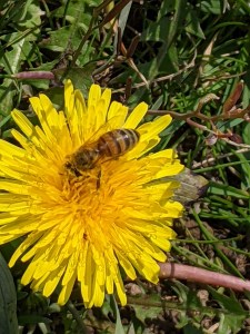 PXL_20210414_115758043