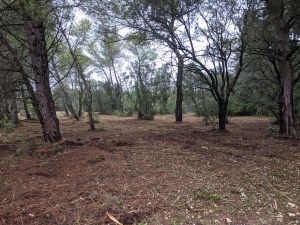 PXL_20201221_101419203