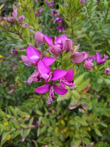 PXL_20201219_150143593