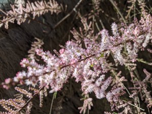 PXL_20210405_094851547