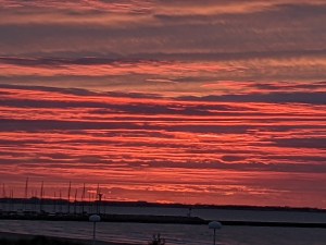 PXL_20201224_070827539