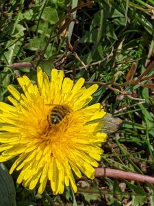 PXL_20210414_115749611