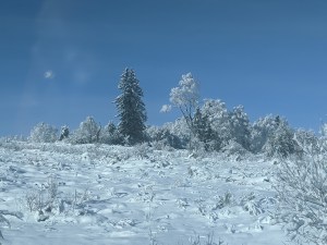 PXL_20210101_102355185