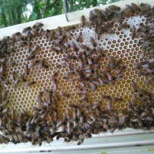 AF1QipN1d_R5wo4WSP-HCuDZNh0PqQsIOZOgFu7NTYT5=w960-h960-n-o-v1