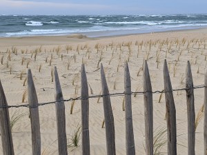 PXL_20210216_081616228