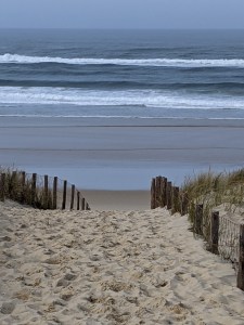 PXL_20210216_104951378