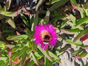 PXL_20201226_141557514