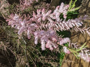 PXL_20210405_094753542