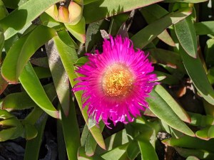 PXL_20201226_141608771