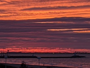 PXL_20201224_070217839